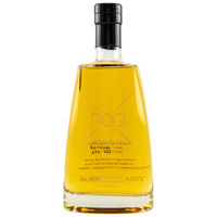 No Ordinary Gin NOG! - Asta Morris